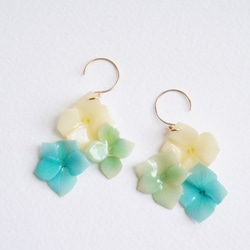紫陽花 ピアス/イヤリング 037 5枚目の画像