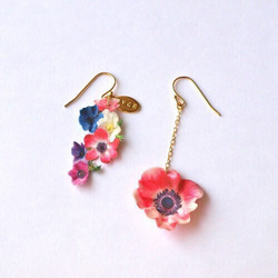 anemone 2枚目の画像