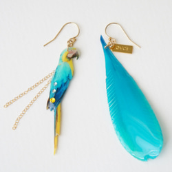 ルリコンゴウインコのピアス 2枚目の画像