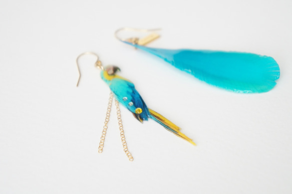 ルリコンゴウインコのピアス 4枚目の画像