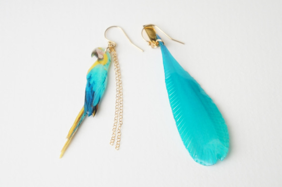 ルリコンゴウインコのピアス 5枚目の画像