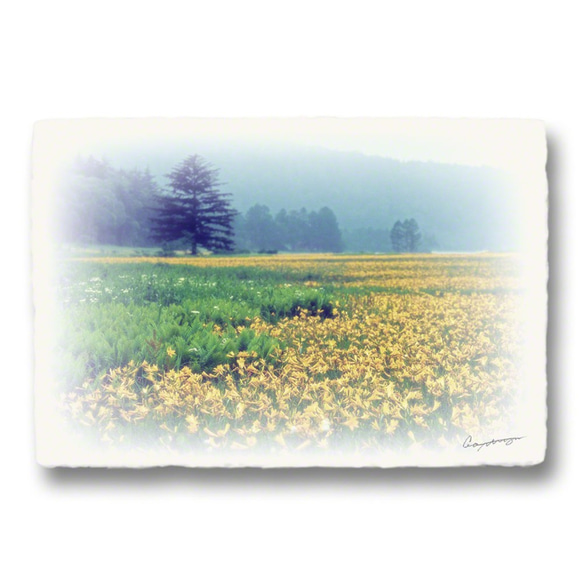 和紙のポストカード「花畑のある風景x4枚セット」アート フォト インテリア 壁飾り 壁掛け おしゃれ 絵 絵画 ポスター 5枚目の画像