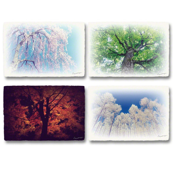 和紙のポストカード「木の四季x4枚セット」アート フォト インテリア 壁飾り 壁掛け おしゃれ 絵 絵画 ポスター 1枚目の画像