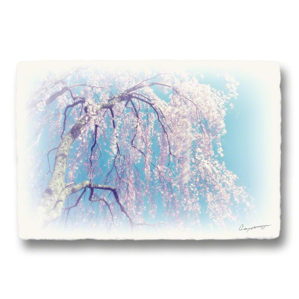 和紙のポストカード「木の四季x4枚セット」アート フォト インテリア 壁飾り 壁掛け おしゃれ 絵 絵画 ポスター 3枚目の画像