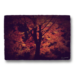 和紙のポストカード「木の四季x4枚セット」アート フォト インテリア 壁飾り 壁掛け おしゃれ 絵 絵画 ポスター 5枚目の画像