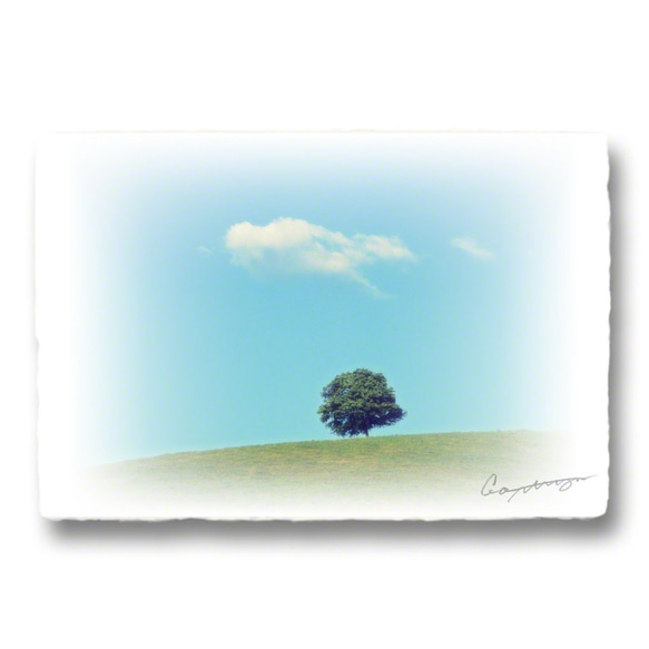 和紙のポストカード「丘と雲x4枚セット」アート フォト インテリア 壁飾り 壁掛け おしゃれ 絵 絵画 ポスター 3枚目の画像