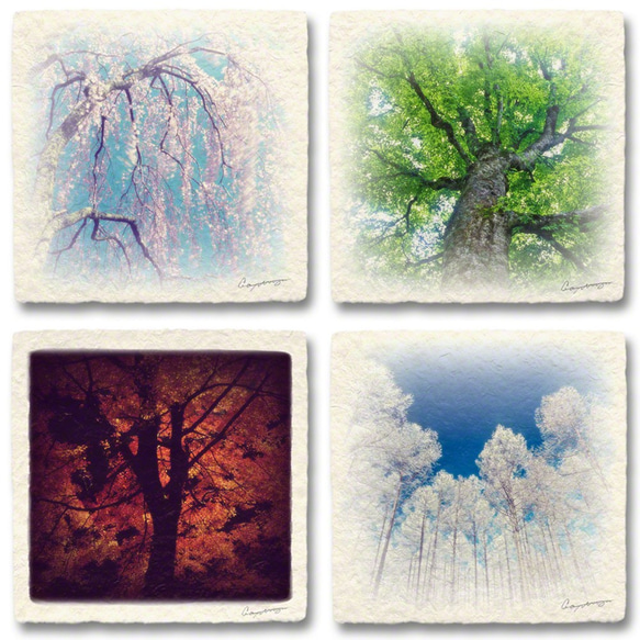 ライカ　木製パネルアート ライカ 木製パネルアート ヴィックアート】木製パネル