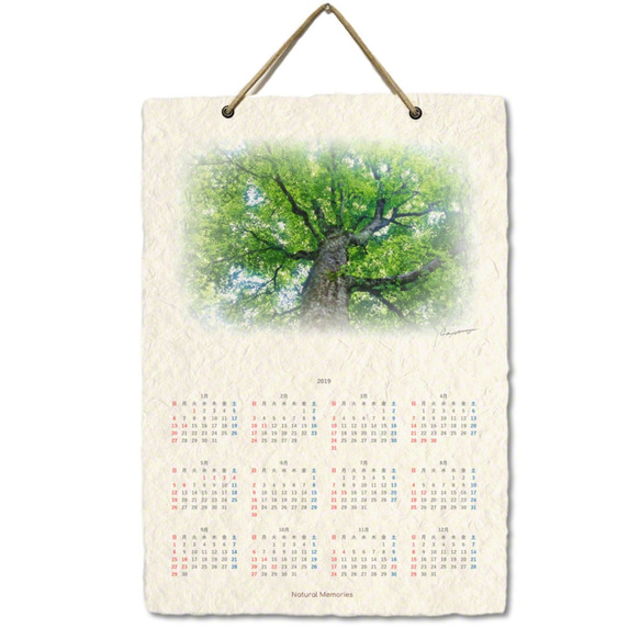 手漉き和紙 壁掛け カレンダー 2019 「新緑のブナのマザーツリー」(30x21cm) Sサイズ おしゃれ 風景 5枚目の画像