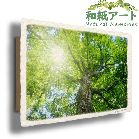 手すき和紙 アート 木製 パネル (30x21cm) 「新緑のブナの大木」 インテリア おしゃれ 壁掛け 1枚目の画像