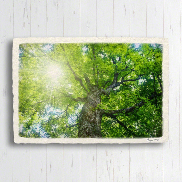 手すき和紙 アート 木製 パネル (30x21cm) 「新緑のブナの大木」 インテリア おしゃれ 壁掛け 2枚目の画像