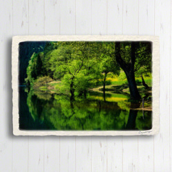 手すき和紙 アート 木製 パネル (30x21cm) 「湖面に映る新緑と菜の花と黒い幹」 インテリア おしゃれ 壁掛け 2枚目の画像