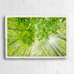 手すき和紙 アート パネル (48x33cm) 「太陽と新緑の雑木林と若葉」 インテリア おしゃれ 壁掛け 2枚目の画像