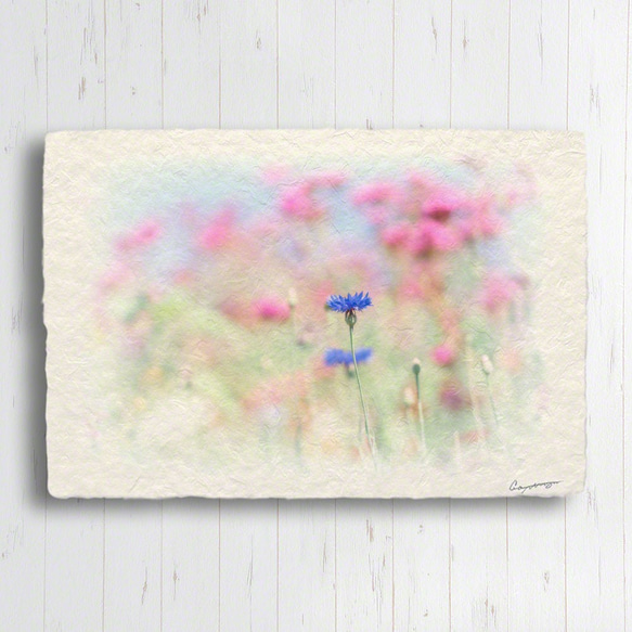 手すき和紙 アート パネル (30x21～48x33cm) 「春の空とピンクの花畑のヤグルマキク」 写真 グラフィック 2枚目の画像