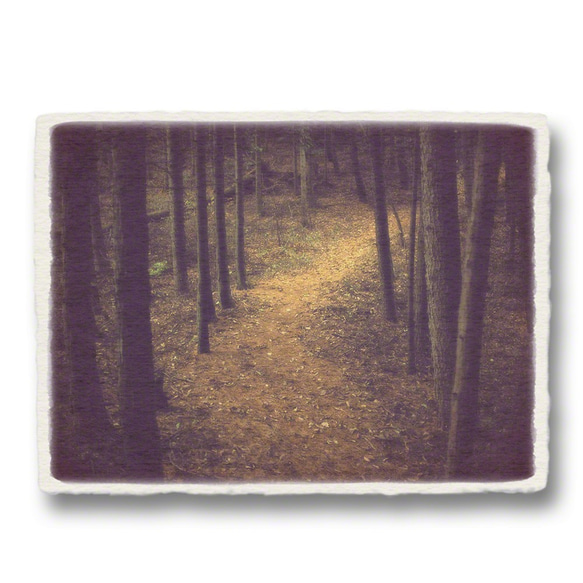 おしゃれな縁取り和紙のプリントのみ「杉林の曲がる山道」(18x13.5cm) 1枚目の画像