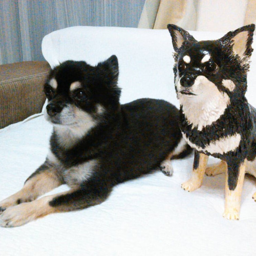 オーダーメイド 陶器製 そっくり犬のフィギュア その他置物 KEIKO 通販