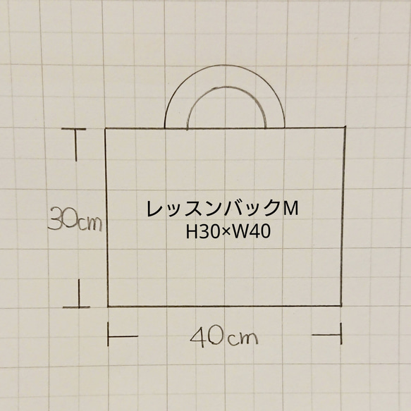 レッスンバッグM アルパインデイジー  ～入園入学～ 3枚目の画像