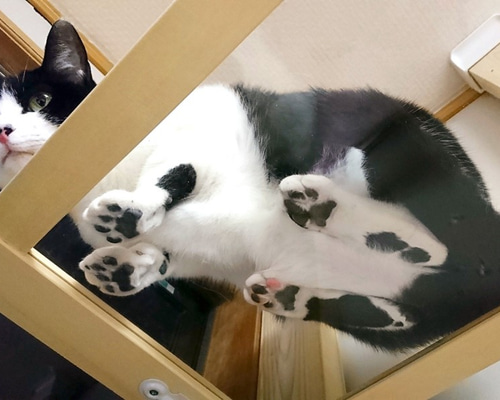 手作り木工うさぎ猫etc 手作り木工うさぎ猫etc