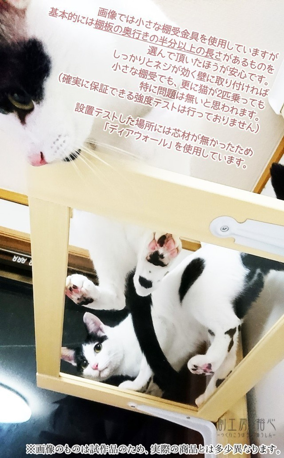 猫の裏側が見れちゃう棚板 * アクリル棚板 7枚目の画像