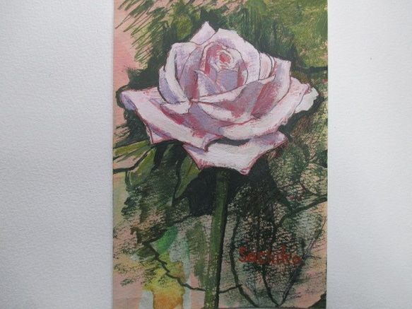 ピンクのバラ 1枚目の画像