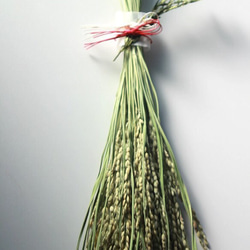 あんどらん 訳あり しめ縄 稲穂 同梱 あんどらん様 専用 訳あり しめ縄