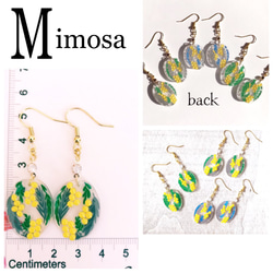 【ミモザ】揺れるmimosa ピアス 5枚目の画像