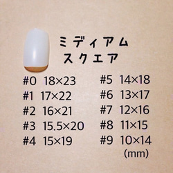  第4張的照片