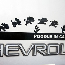 POODLE IN CAR ステッカー/001 1枚目の画像