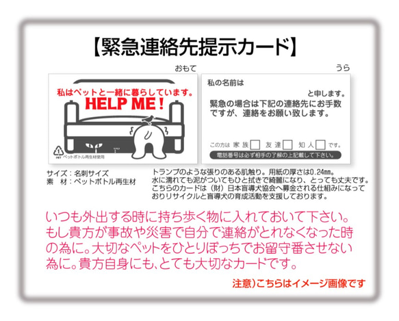 HELPシールとカード/Ｂタイプ 3枚目の画像