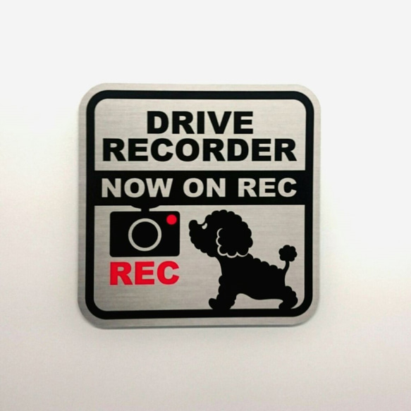 DRIVE RECORDER シール（プードル） 1枚目の画像