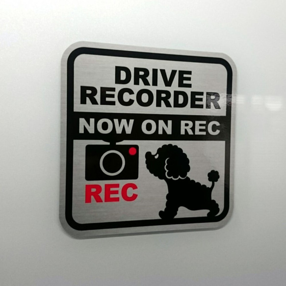 DRIVE RECORDER シール（プードル） 2枚目の画像