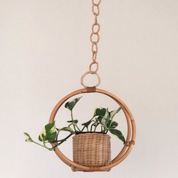 ラタン プラントハンガー 観葉植物付き  rattan plant hanger 1枚目の画像