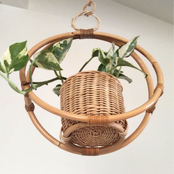 ラタン プラントハンガー 観葉植物付き  rattan plant hanger 2枚目の画像