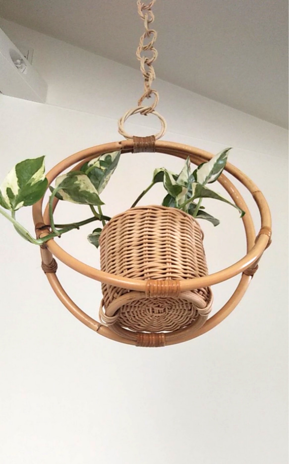 ラタン プラントハンガー 観葉植物付き  rattan plant hanger 2枚目の画像