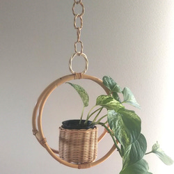 ラタン プラントハンガー 観葉植物付き  rattan plant hanger 5枚目の画像