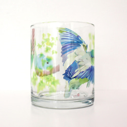 ガラス製マグカップ「マメルリハ」 3枚目の画像