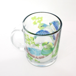 ガラス製マグカップ「マメルリハ」 6枚目の画像