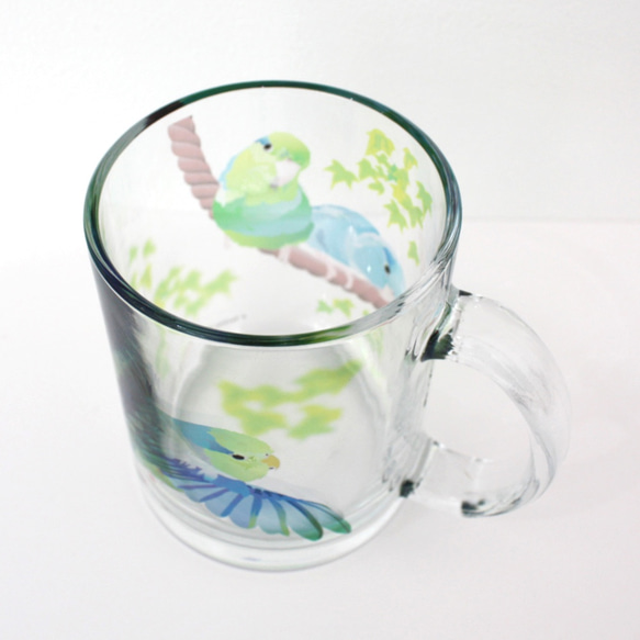 ガラス製マグカップ「マメルリハ」 7枚目の画像