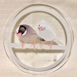 アクリルコースター「かしげる文鳥」 1枚目の画像