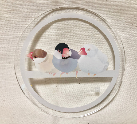 アクリルコースター「くつろぎ文鳥」 1枚目の画像