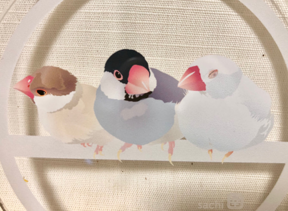 アクリルコースター「くつろぎ文鳥」 4枚目の画像