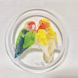 アクリルコースター「コザクラインコ2羽」 1枚目の画像