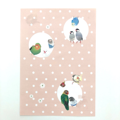 小さめレターセット B6版 うすピンク レターセット とりアート 通販