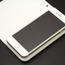 iPhone，Android智能手機兼容筆記本型保護套“刺猬” 第5張的照片