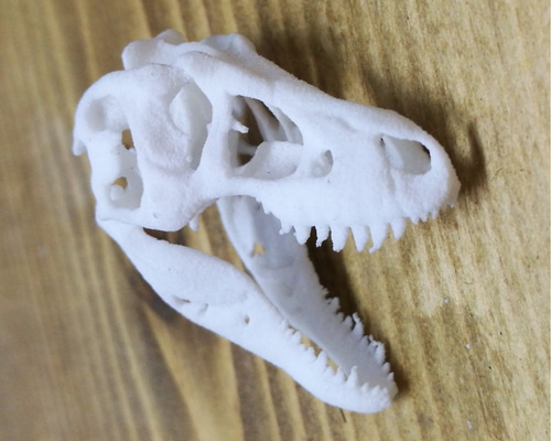 恐竜の頭部模型 Amazon.co.jp: 恐竜の頭蓋骨の彫刻 - 恐竜の頭蓋骨モデル T