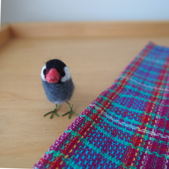羊毛フェルトの小さな桜文鳥 1枚目の画像