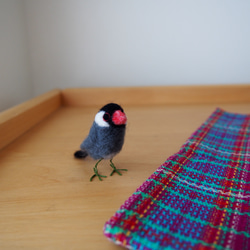 羊毛フェルトの小さな桜文鳥 5枚目の画像