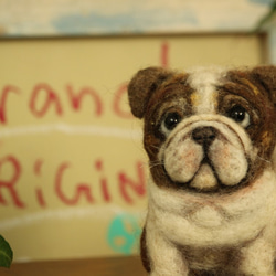 【ヒロ様オーダー品】羊毛フェルト☆ブルドッグさんのぷっくり立体ブローチ☆犬 1枚目の画像