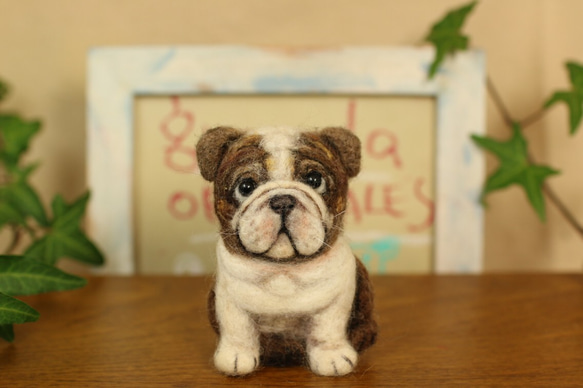 【ヒロ様オーダー品】羊毛フェルト☆ブルドッグさんのぷっくり立体ブローチ☆犬 2枚目の画像