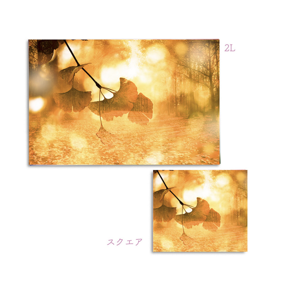 Ginkgo tree-B/small　ポスター【写真サイズ、パネル加工をお選びいただけます】 2枚目の画像
