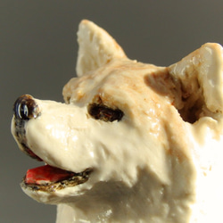 陶塑　うちの子オーダーメードのご案内：　秋田犬（ご参考） 2枚目の画像